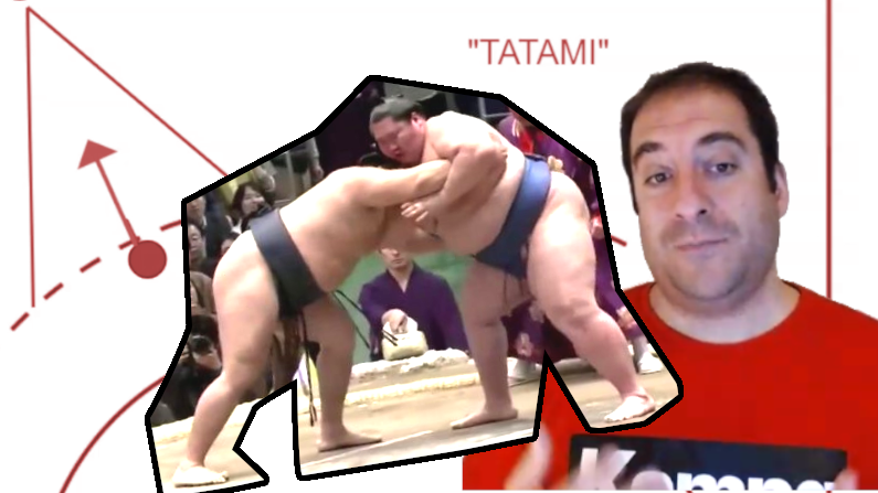 images/1256_tatami.png